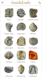 Mobile Screenshot of fossiilid.info