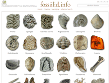 Tablet Screenshot of fossiilid.info
